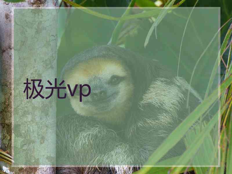 极光vp